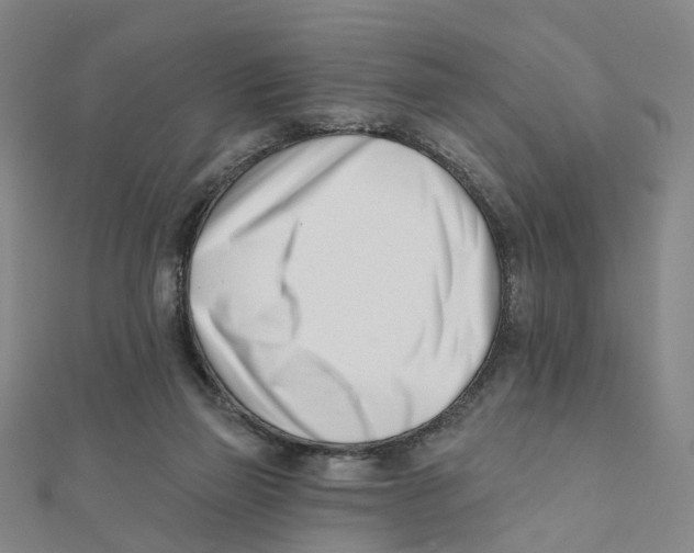 X0000112080165200909011051