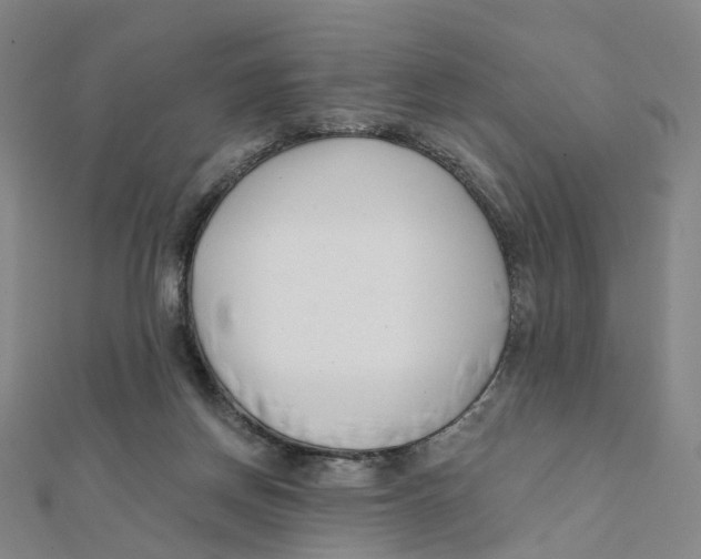 X0000112080166200909011051