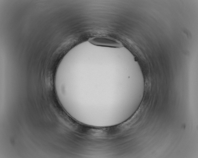 X0000112080170200909011051