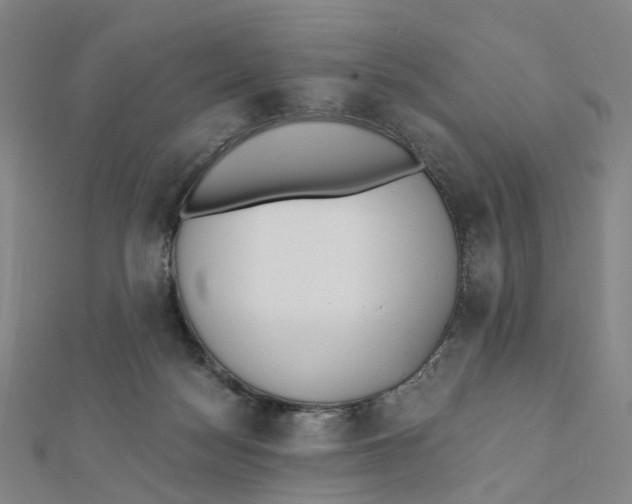 X0000112080172200909011051