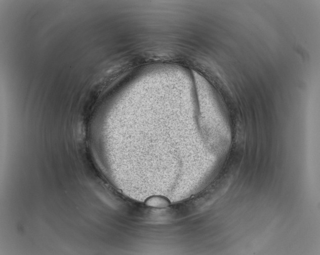 X0000112080173200909011051
