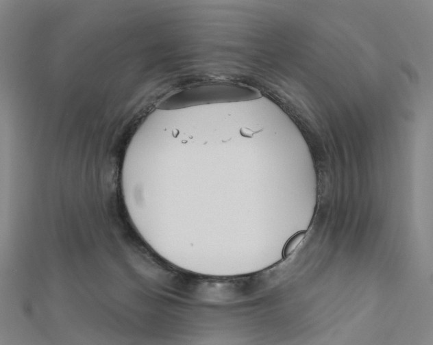 X0000112080174200909011051