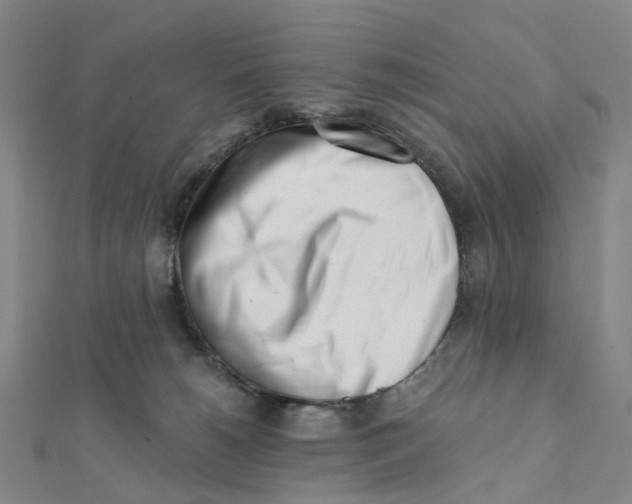 X0000112080180200909011051