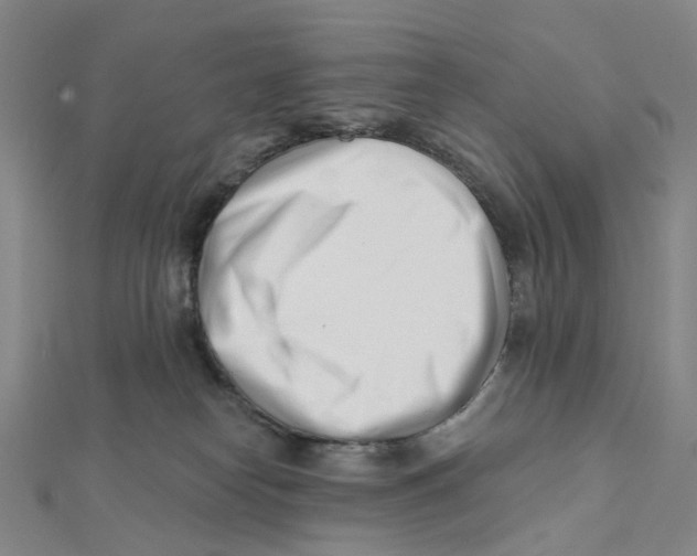 X0000112080182200909011051