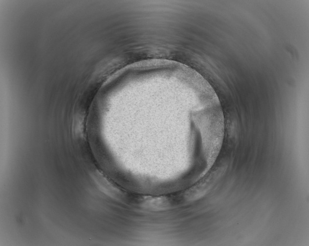 X0000112080185200909011051