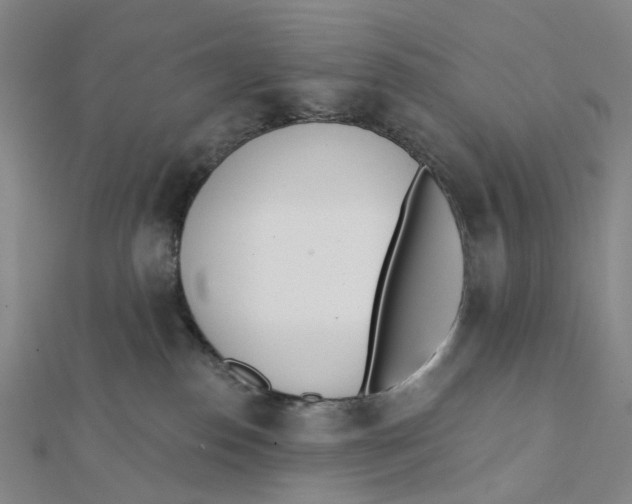 X0000112080186200909011051
