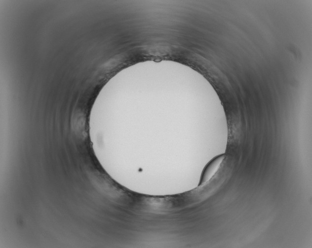 X0000112080187200909011051