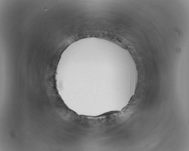 X0000112080192200909011051
