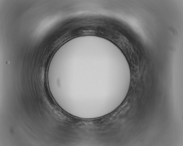 X0000112080194200909011051