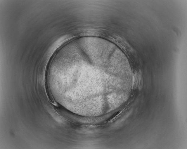 X0000112080195200909011051