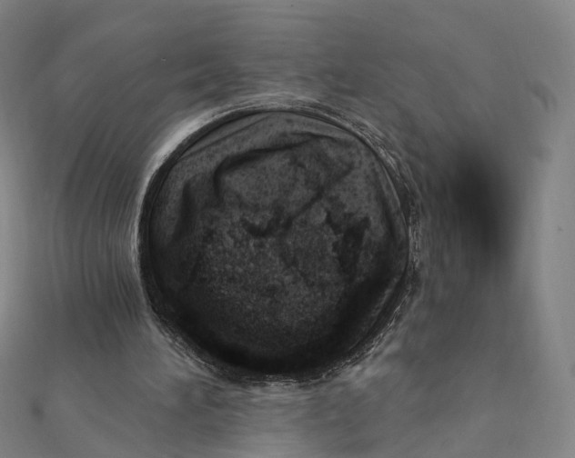 X0000112080196200909011051