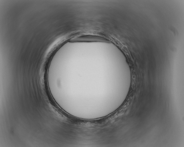X0000112080197200909011051