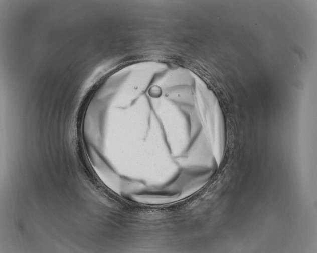 X0000112080198200909011051