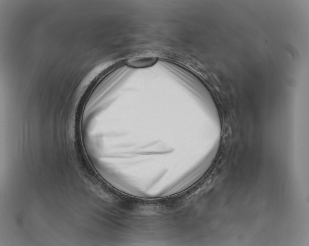 X0000112080200200909011051