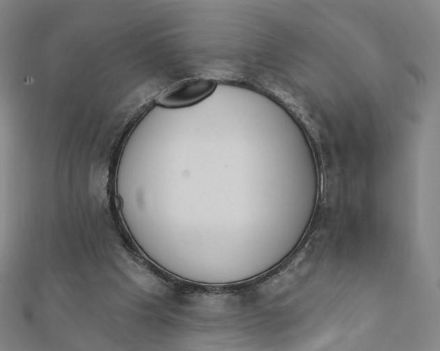 X0000112080201200909011051