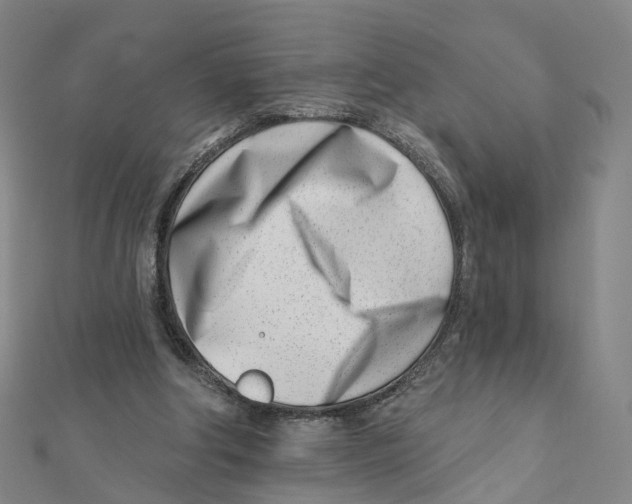 X0000112080202200909011051