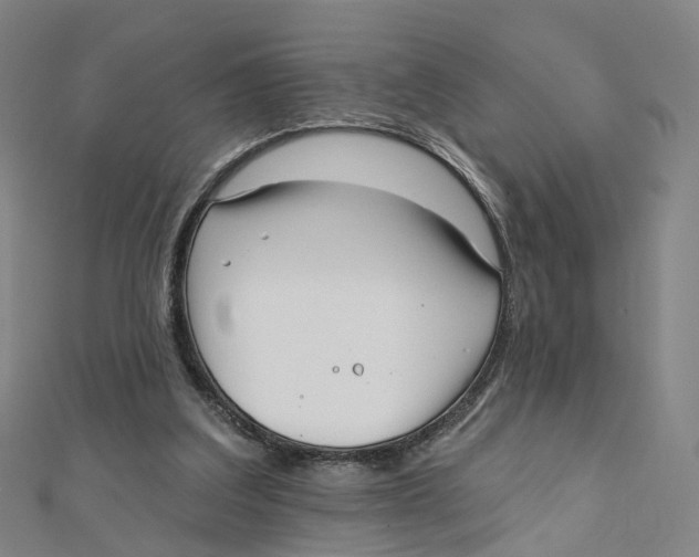 X0000112080203200909011051