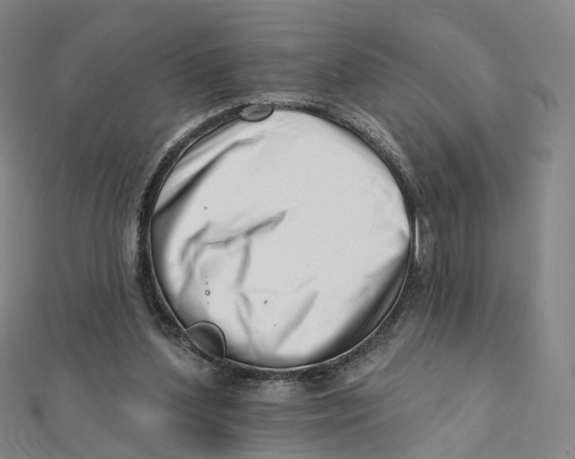 X0000112080204200909011051
