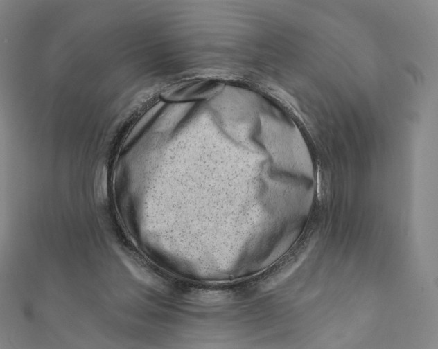 X0000112080205200909011051
