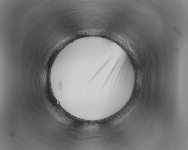X0000112080206200909011050