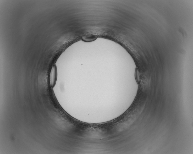 X0000112080207200909011050