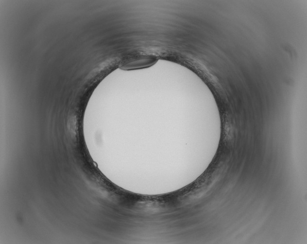 X0000112080211200909011050