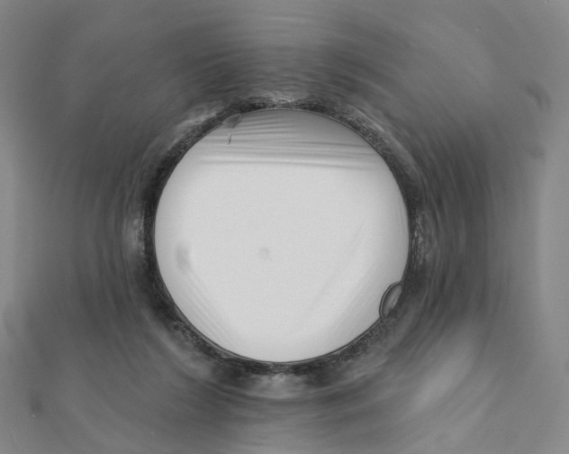 X0000112080212200909011050