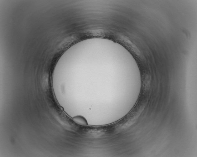 X0000112080213200909011050