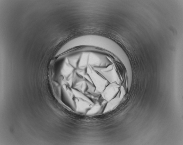 X0000112080215200909011050