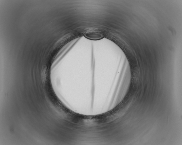 X0000112080216200909011050