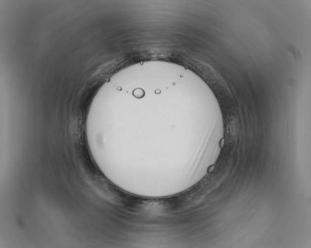 X0000112080218200909011050