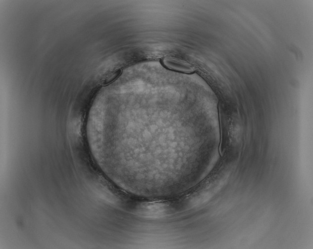 X0000112080219200909011050