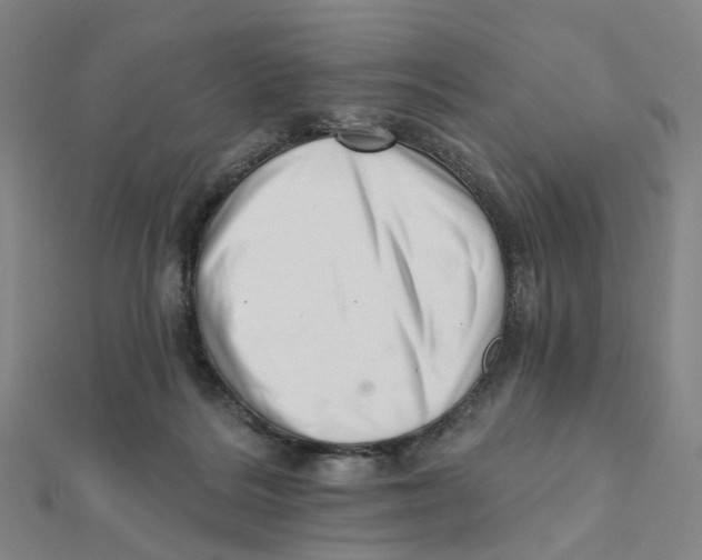 X0000112080220200909011050
