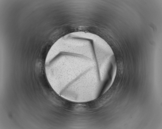 X0000112080222200909011050