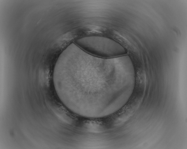 X0000112080223200909011050
