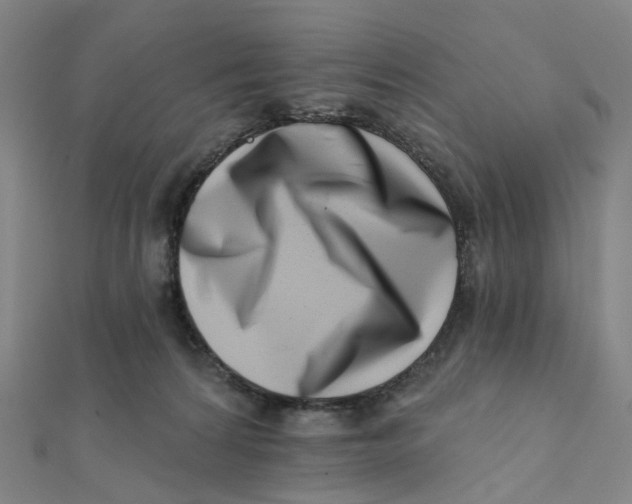 X0000112080224200909011050