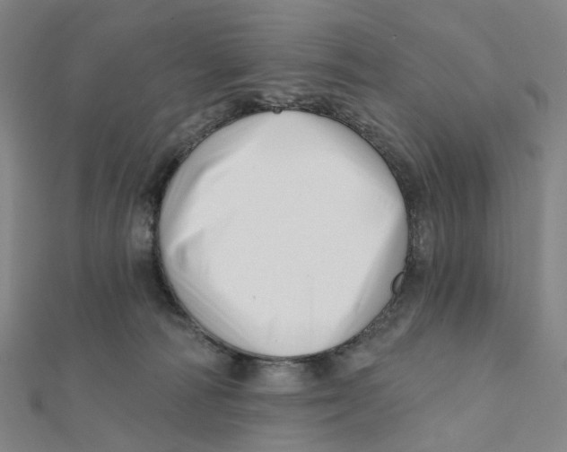 X0000112080226200909011050