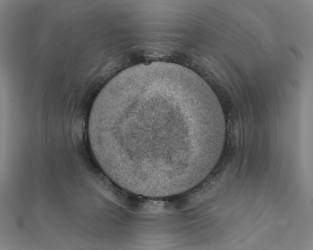 X0000112080227200909011050