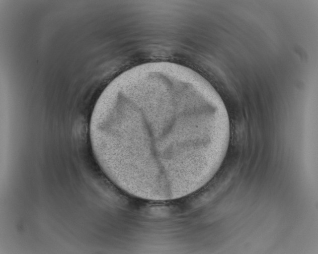 X0000112080228200909011050
