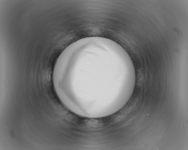 X0000112080230200909011050