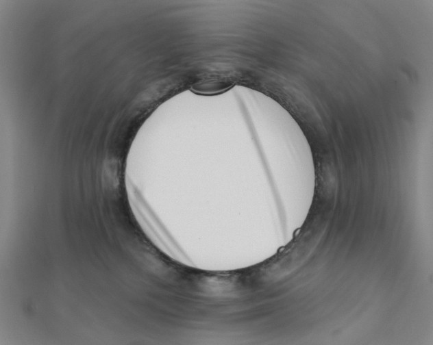 X0000112080232200909011050
