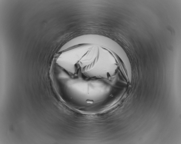 X0000112080233200909011050