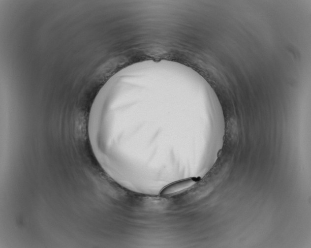 X0000112080234200909011050