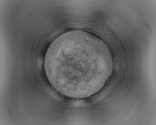 X0000112080235200909011050
