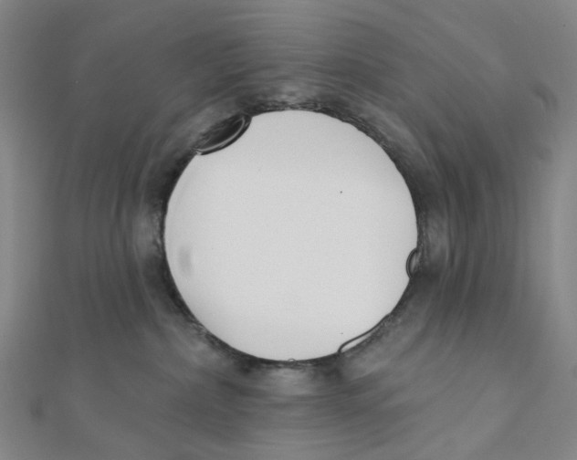 X0000112080236200909011050