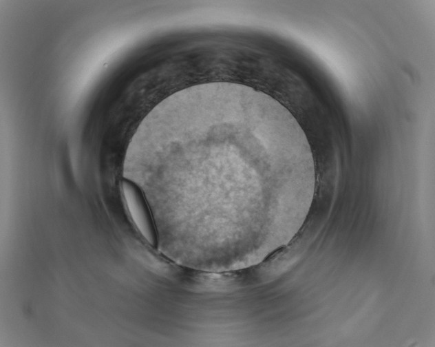 X0000112080239200909011050