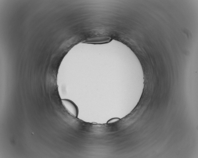 X0000112080240200909011050