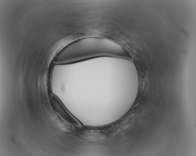 X0000112080244200909011049