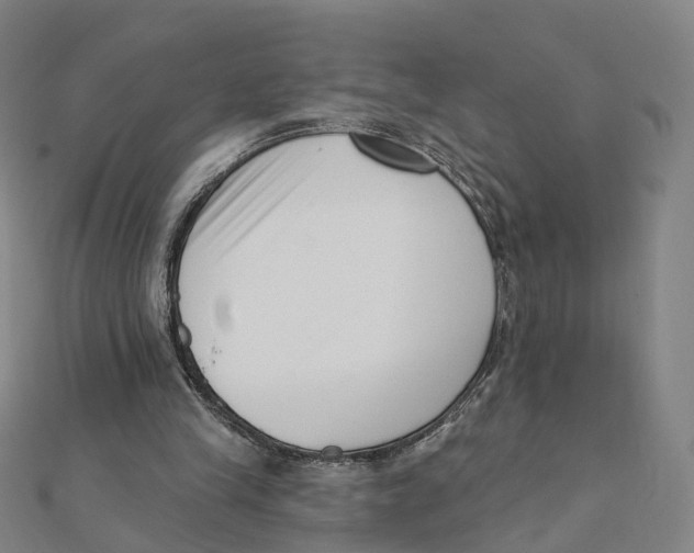 X0000112080245200909011049