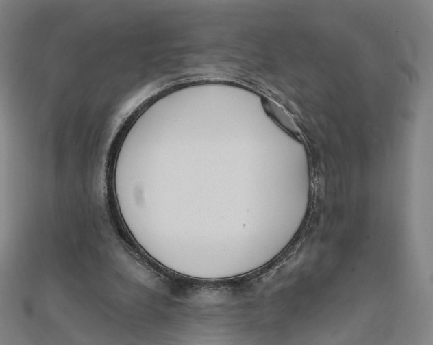 X0000112080248200909011049